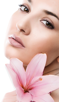 Orchid Beauty