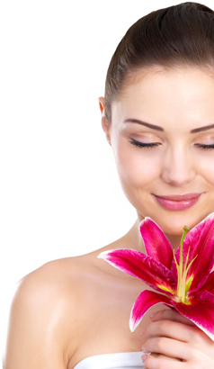 Orchid Beauty